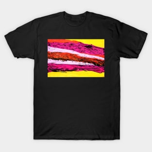 Flowing river of colors T-Shirt